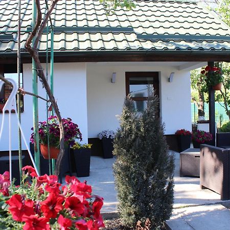 Casuta Artistilor Villa Breaza  Buitenkant foto