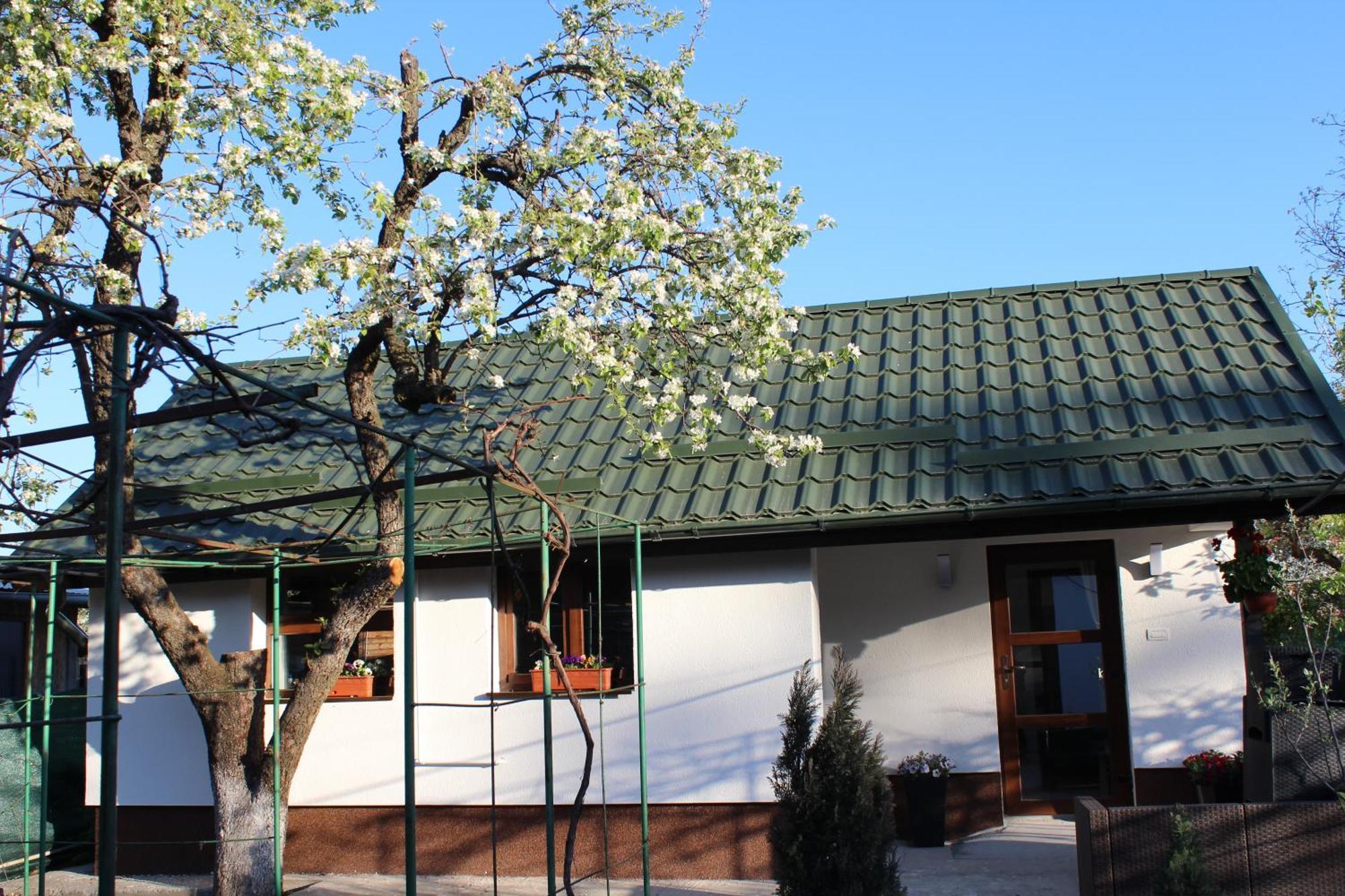 Casuta Artistilor Villa Breaza  Buitenkant foto