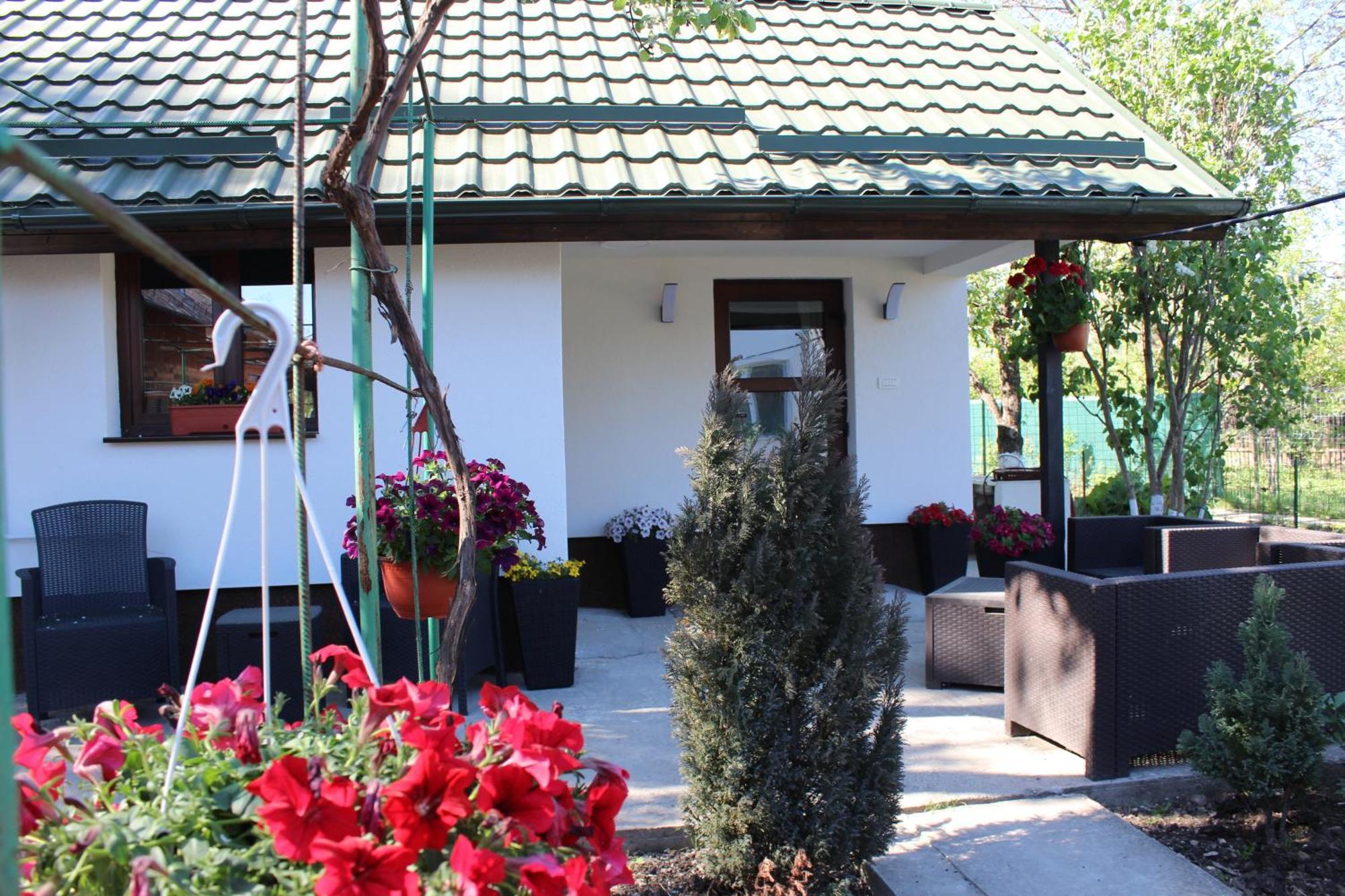 Casuta Artistilor Villa Breaza  Buitenkant foto