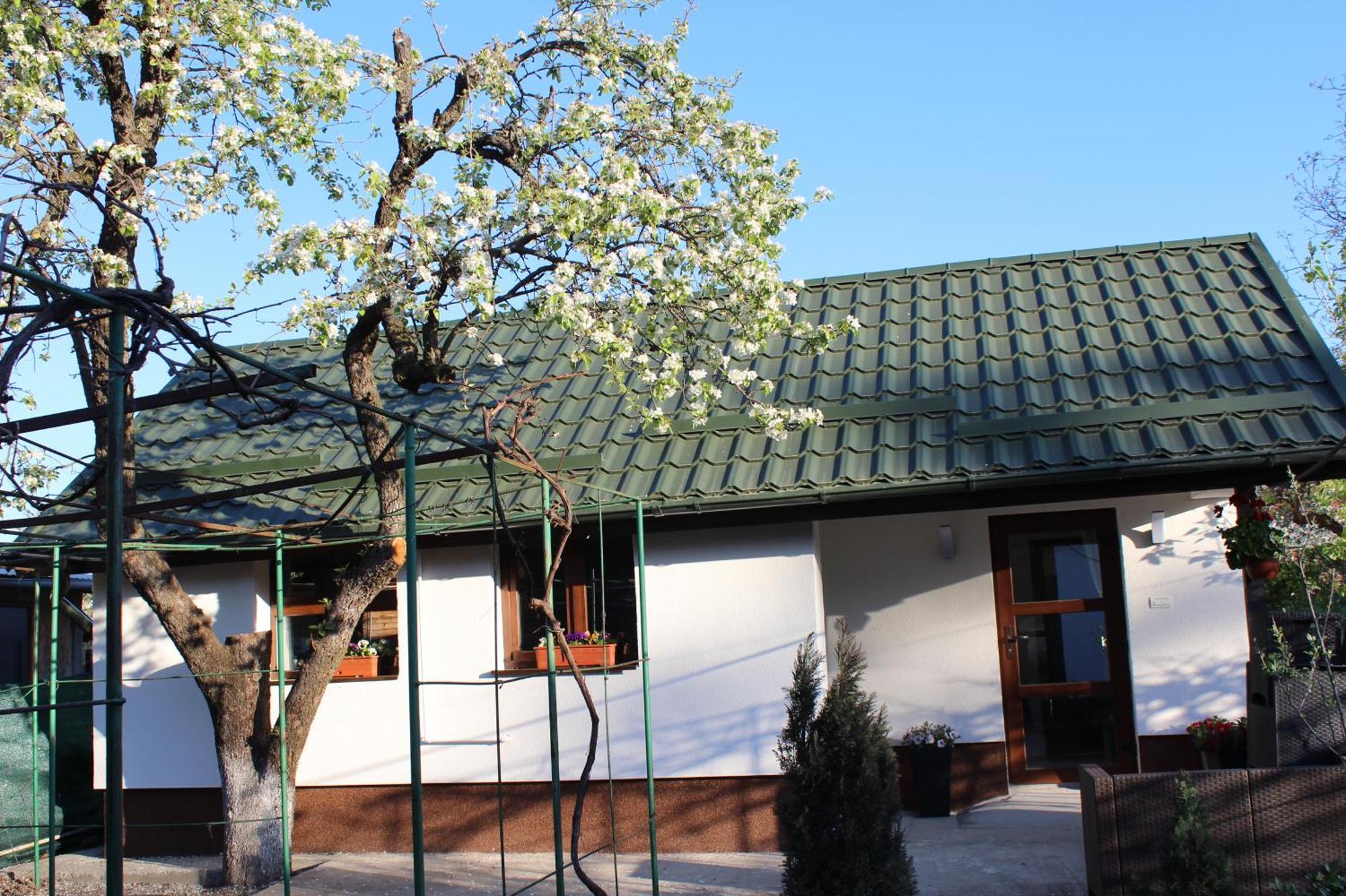 Casuta Artistilor Villa Breaza  Buitenkant foto