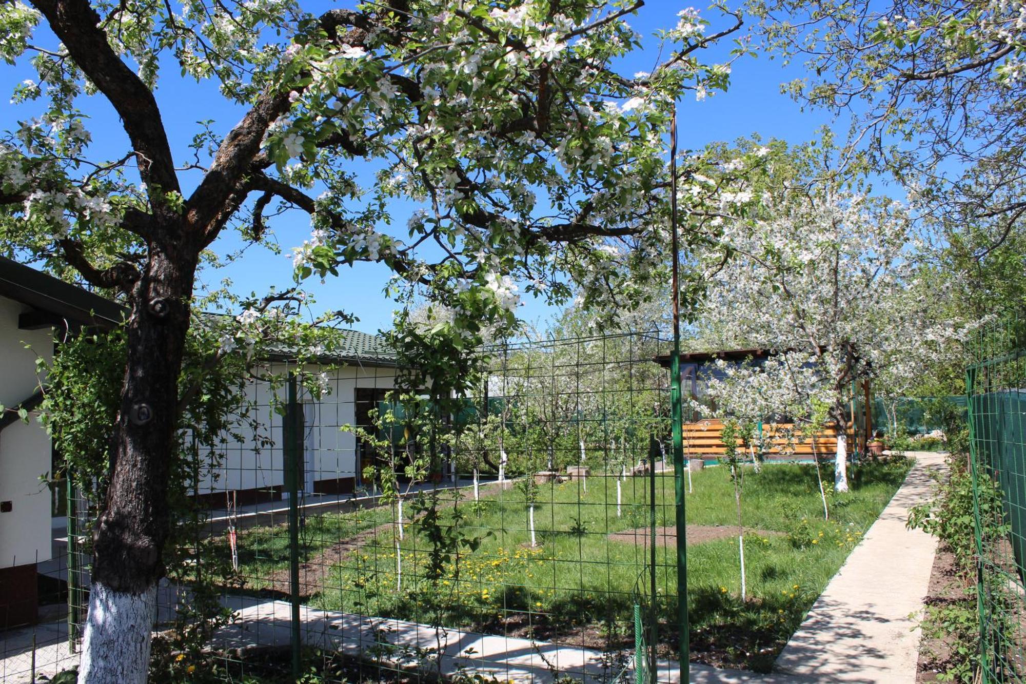 Casuta Artistilor Villa Breaza  Buitenkant foto